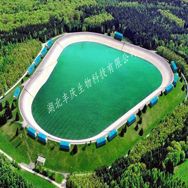 工廠(chǎng)化的水產(chǎn)養(yǎng)殖是什么？